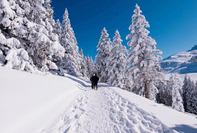 Votre Studio Balneo Bien-Etre A La Montagne تولو المظهر الخارجي الصورة